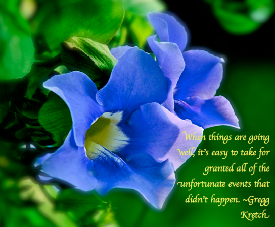 Screen Shot 2018-07-28 at 11.13.38 PM.png