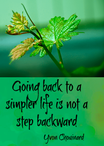 Screen Shot 2018-07-30 at 10.36.23 PM.png