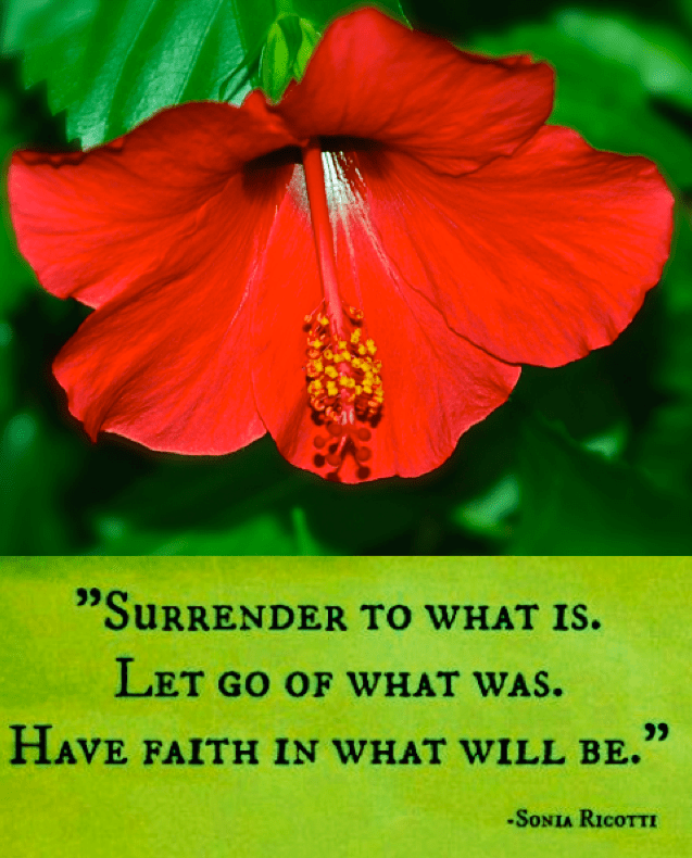 Screen Shot 2018-07-30 at 10.38.35 PM.png