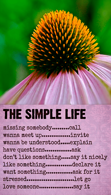 Screen Shot 2018-07-30 at 10.45.07 PM.png