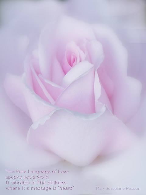 38614584_1815608018525632_572477848741216256_n