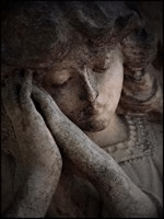 39520196_1166861220144329_859476368142893056_n