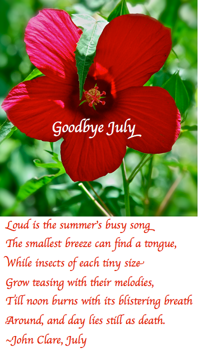 Screen Shot 2018-07-31 at 11.02.08 PM.png