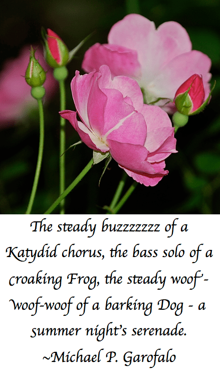 Screen Shot 2018-07-31 at 11.58.22 PM.png