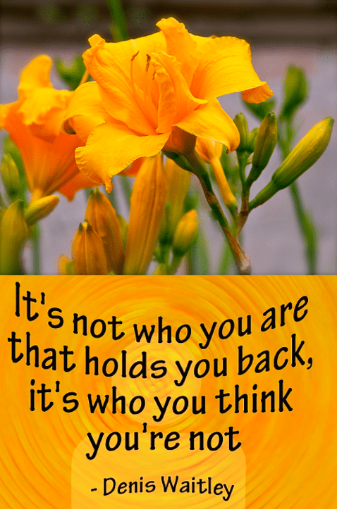 Screen Shot 2018-08-01 at 10.01.29 PM.png