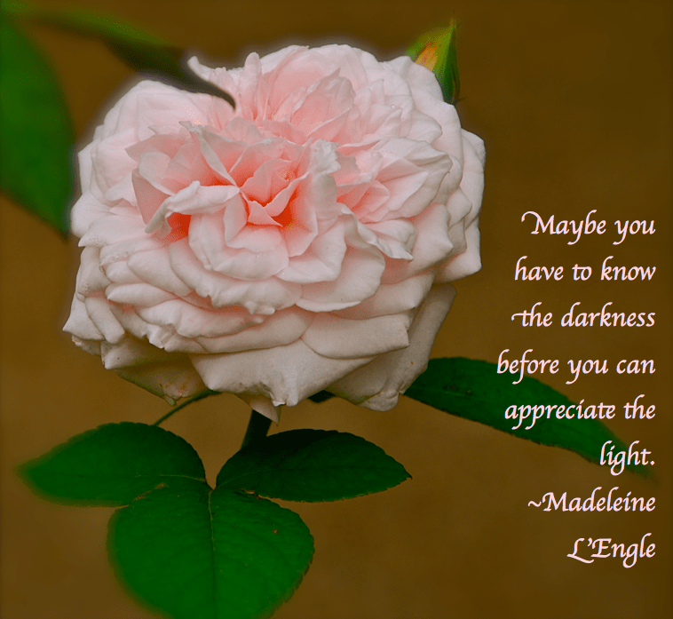 Screen Shot 2018-08-01 at 10.07.54 PM.png