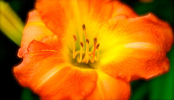 Screen Shot 2018-08-01 at 9.47.46 PM.png