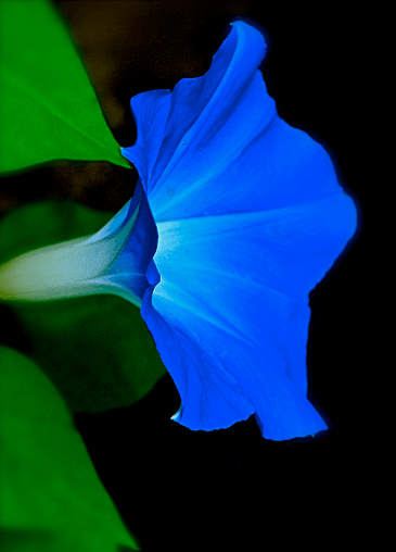 Screen Shot 2018-08-01 at 9.49.37 PM.png