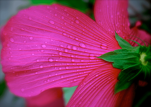 Screen Shot 2018-08-01 at 9.50.32 PM.png