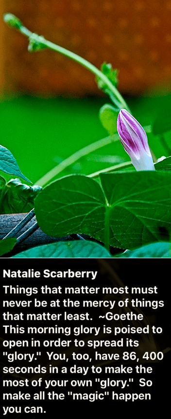 Screen Shot 2018-08-02 at 10.07.02 PM.png