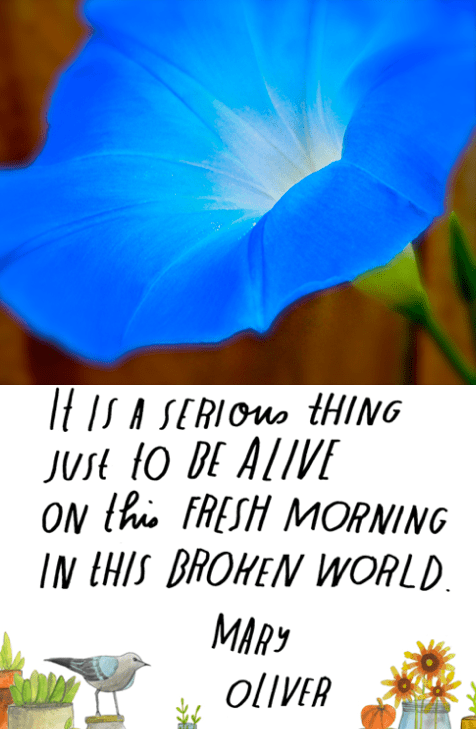 Screen Shot 2018-08-02 at 10.08.16 PM.png