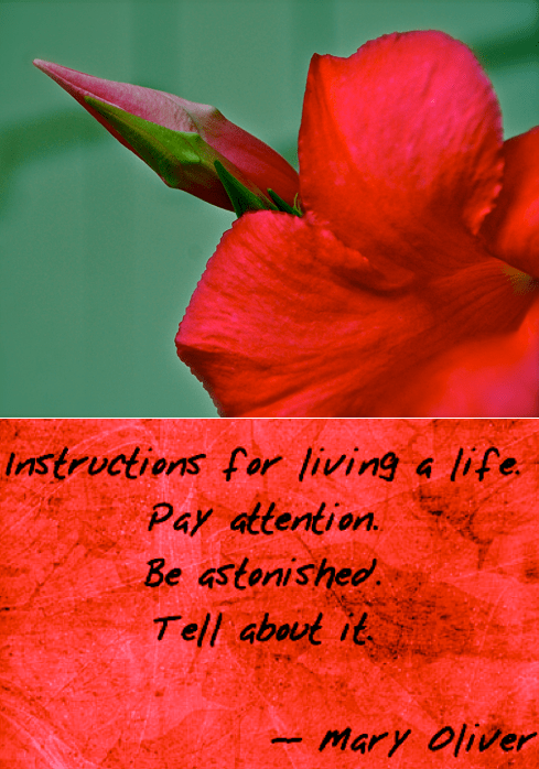 Screen Shot 2018-08-02 at 10.11.01 PM.png