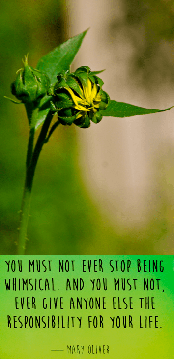 Screen Shot 2018-08-02 at 10.12.22 PM.png