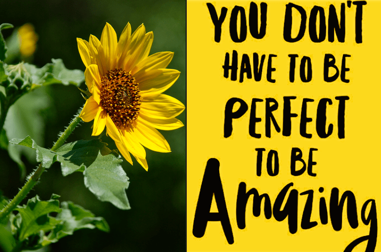 Screen Shot 2018-08-02 at 10.21.46 PM.png