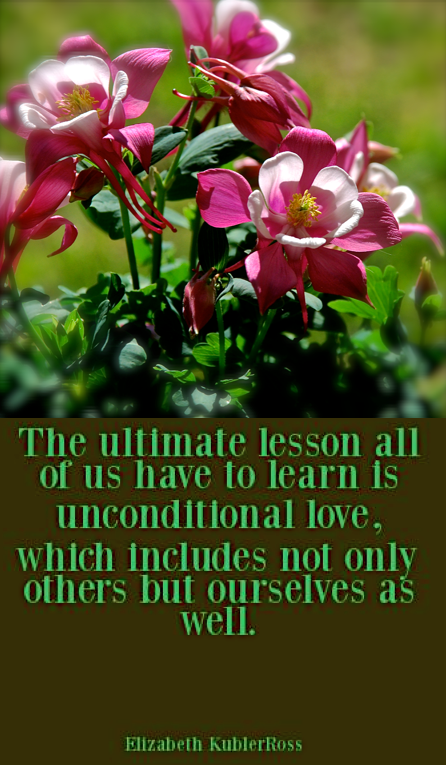 Screen Shot 2018-08-04 at 10.01.03 PM.png