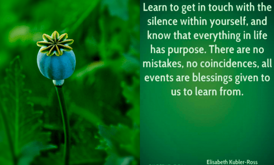 Screen Shot 2018-08-04 at 10.06.03 PM.png