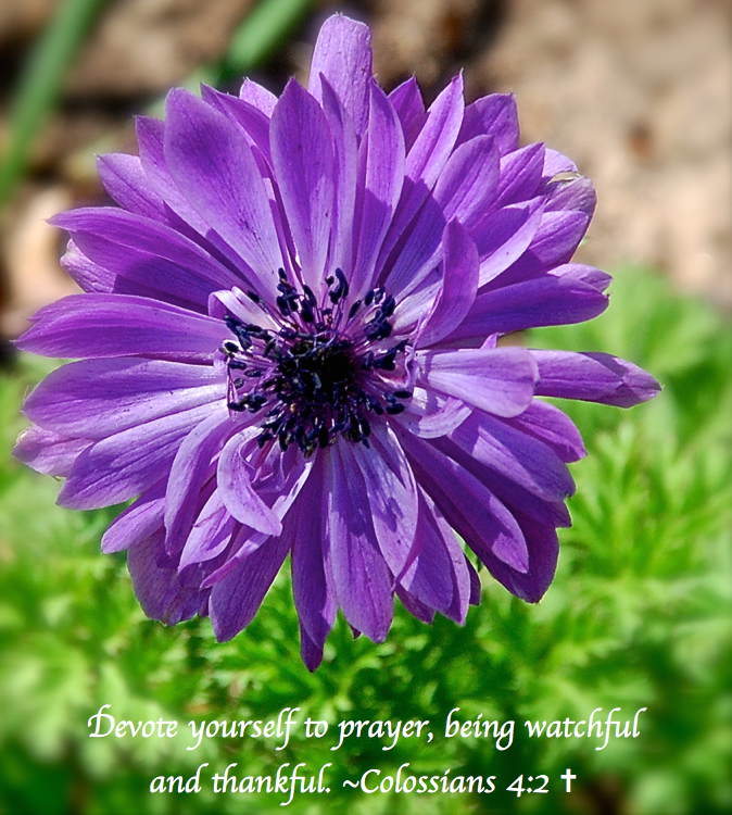 Screen Shot 2018-08-04 at 10.12.12 PM.png