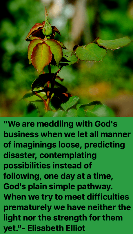 Screen Shot 2018-08-04 at 9.31.08 PM.png