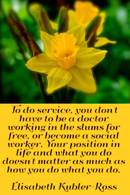 Screen Shot 2018-08-04 at 9.43.49 PM.png