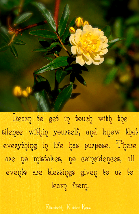 Screen Shot 2018-08-04 at 9.47.13 PM.png