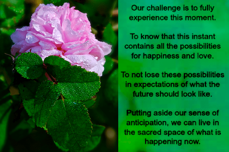 Screen Shot 2018-08-07 at 11.29.59 PM.png