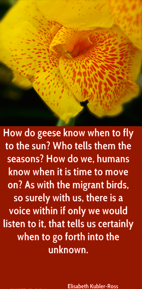 Screen Shot 2018-08-07 at 11.33.05 PM.png