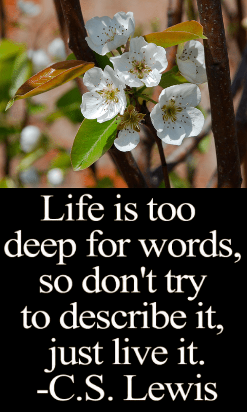 Screen Shot 2018-08-09 at 10.49.03 PM.png