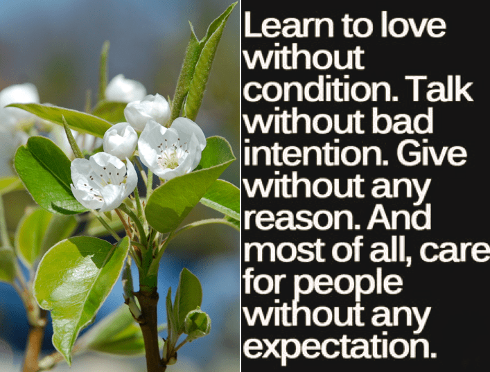 Screen Shot 2018-08-09 at 10.51.01 PM.png