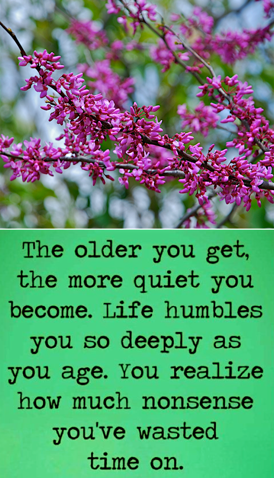 Screen Shot 2018-08-09 at 10.56.52 PM.png