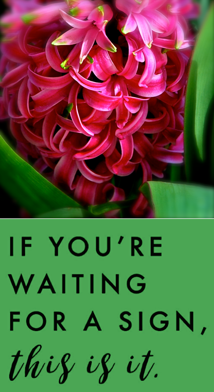 Screen Shot 2018-08-09 at 11.00.47 PM.png