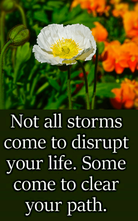 Screen Shot 2018-08-09 at 11.13.54 PM.png