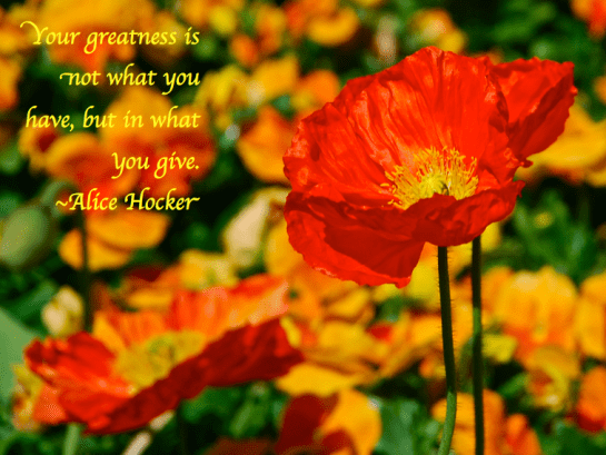 Screen Shot 2018-08-09 at 11.20.36 PM.png