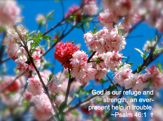 Screen Shot 2018-08-11 at 11.11.23 PM.png