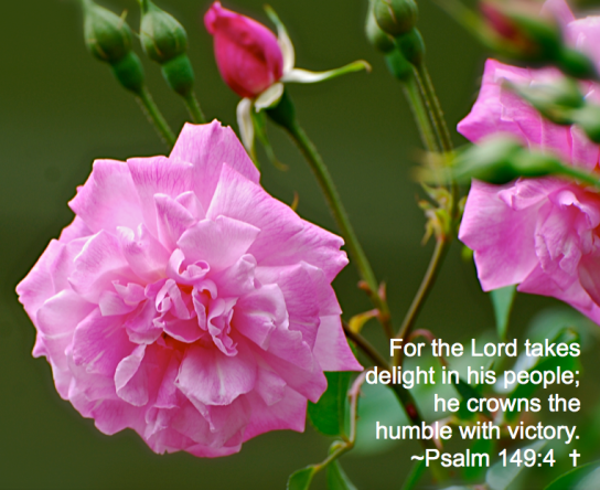 Screen Shot 2018-08-11 at 11.18.21 PM.png