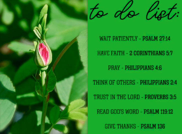 Screen Shot 2018-08-13 at 11.19.18 PM.png