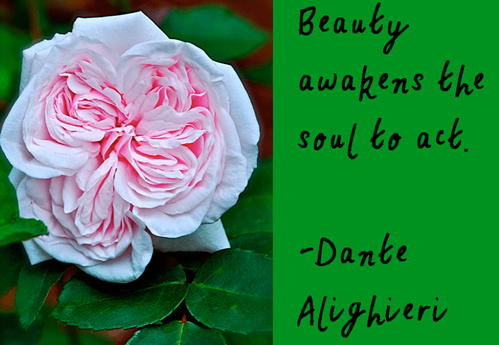 Screen Shot 2018-08-13 at 11.38.00 PM.png