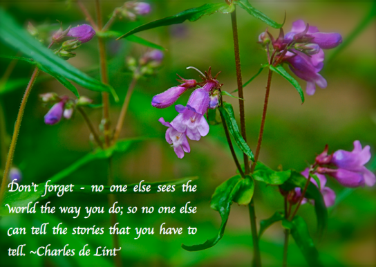 Screen Shot 2018-08-13 at 11.41.46 PM.png