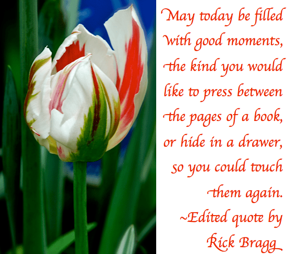 Screen Shot 2018-08-13 at 11.46.46 PM.png