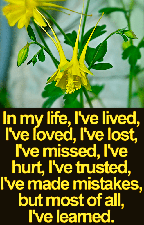 Screen Shot 2018-08-14 at 12.01.49 AM.png