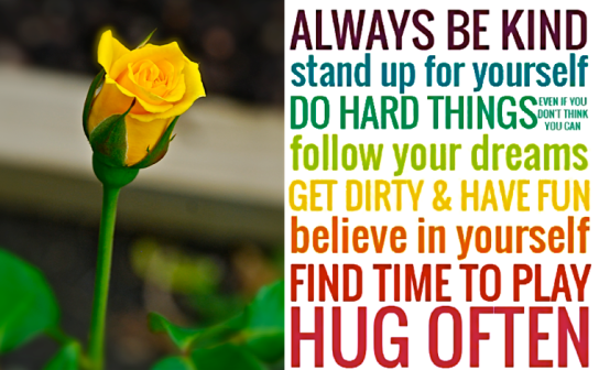 Screen Shot 2018-08-16 at 11.05.17 PM.png