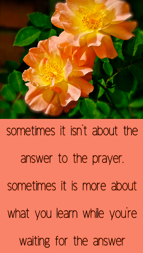 Screen Shot 2018-08-16 at 11.14.30 PM.png