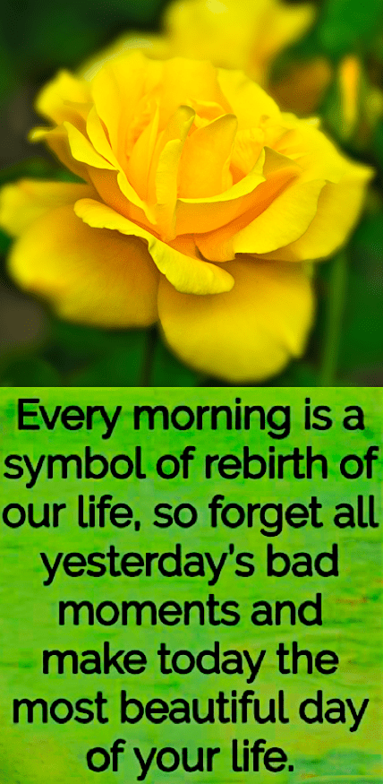 Screen Shot 2018-08-16 at 11.29.41 PM.png