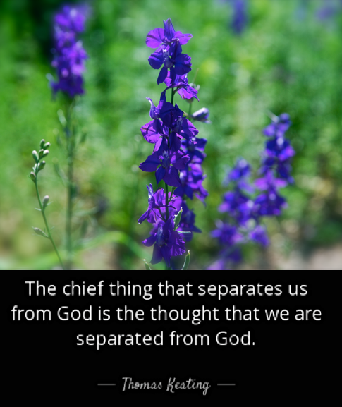 Screen Shot 2018-08-18 at 10.42.57 PM.png