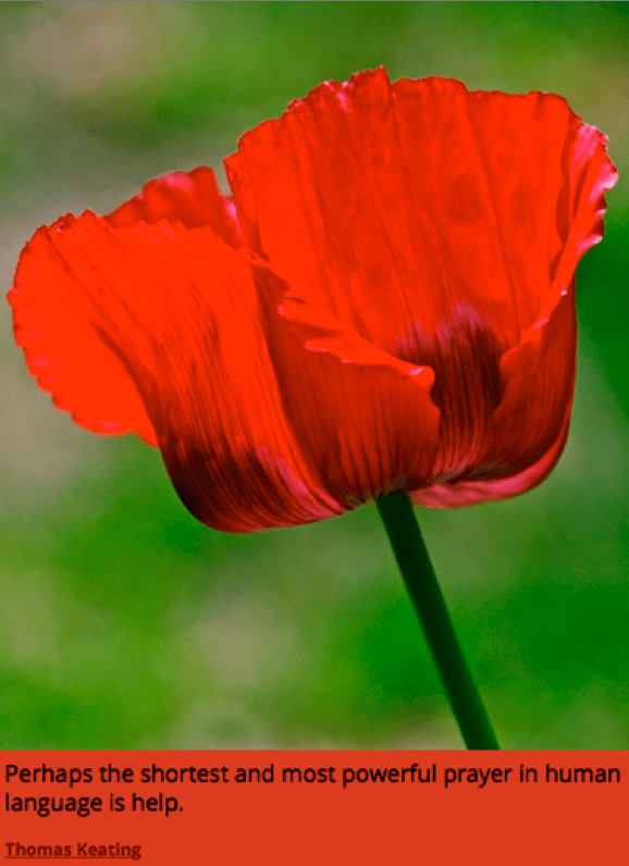 Screen Shot 2018-08-18 at 10.47.37 PM.png