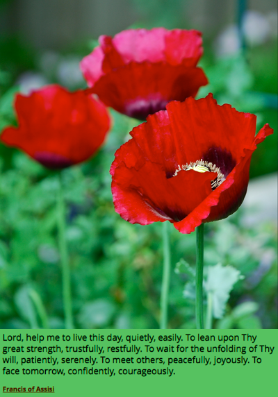 Screen Shot 2018-08-18 at 10.55.50 PM.png