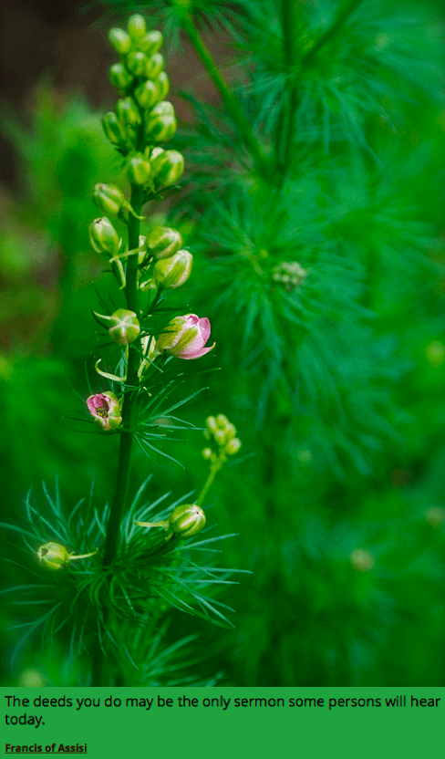 Screen Shot 2018-08-18 at 10.58.34 PM.png