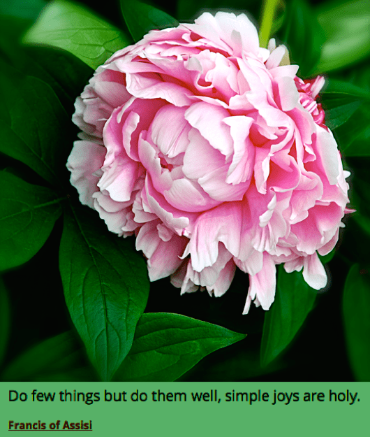 Screen Shot 2018-08-18 at 11.04.48 PM.png