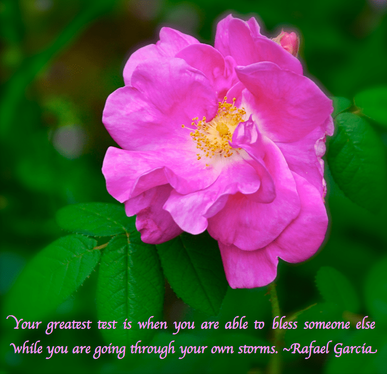 Screen Shot 2018-08-18 at 11.09.21 PM.png