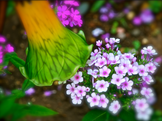 Screen Shot 2018-08-19 at 10.30.49 PM.png