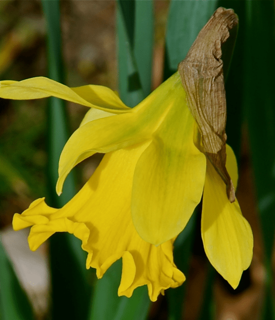 Screen Shot 2018-08-21 at 10.35.22 PM.png